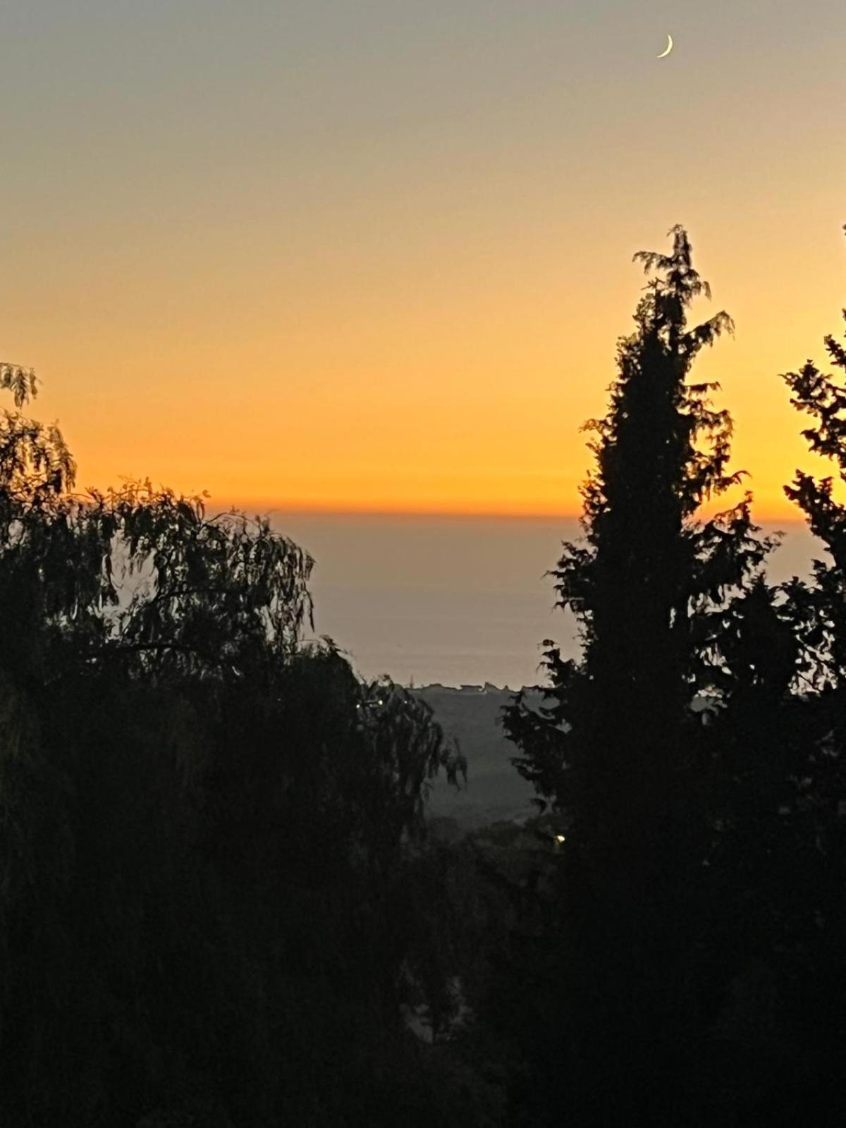 Falaride Suite Agrigento Discesa Sulla Valle Di Oro Exteriér fotografie